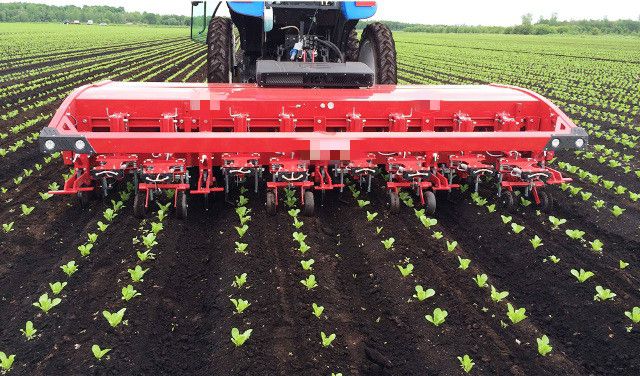 automatic-in-row-weeder-kj