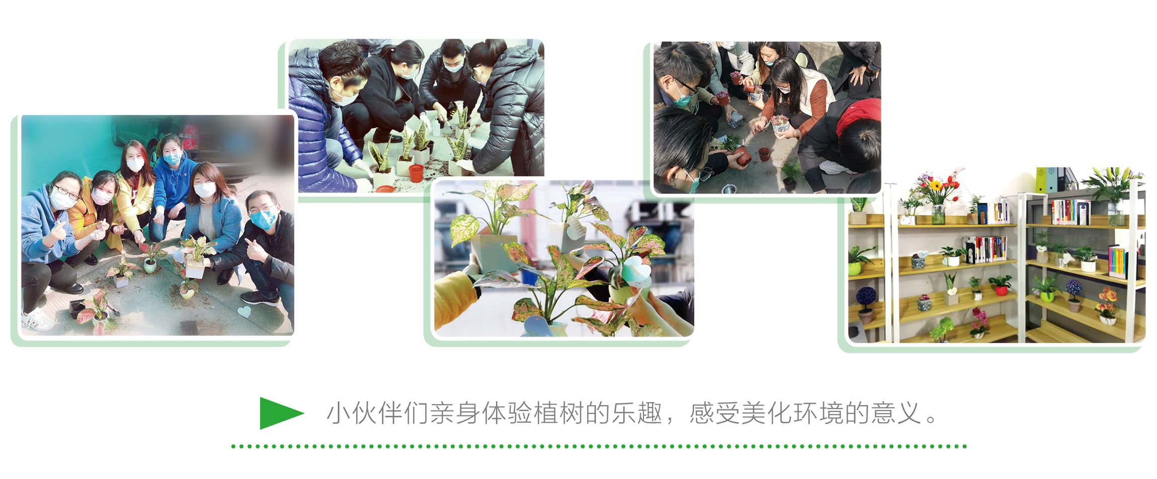news植树节2 副本